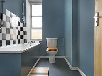 Picture 19